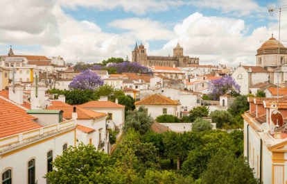 Uma Jornada pela História, Cultura e Vinho: Planear uma viagem a Évora